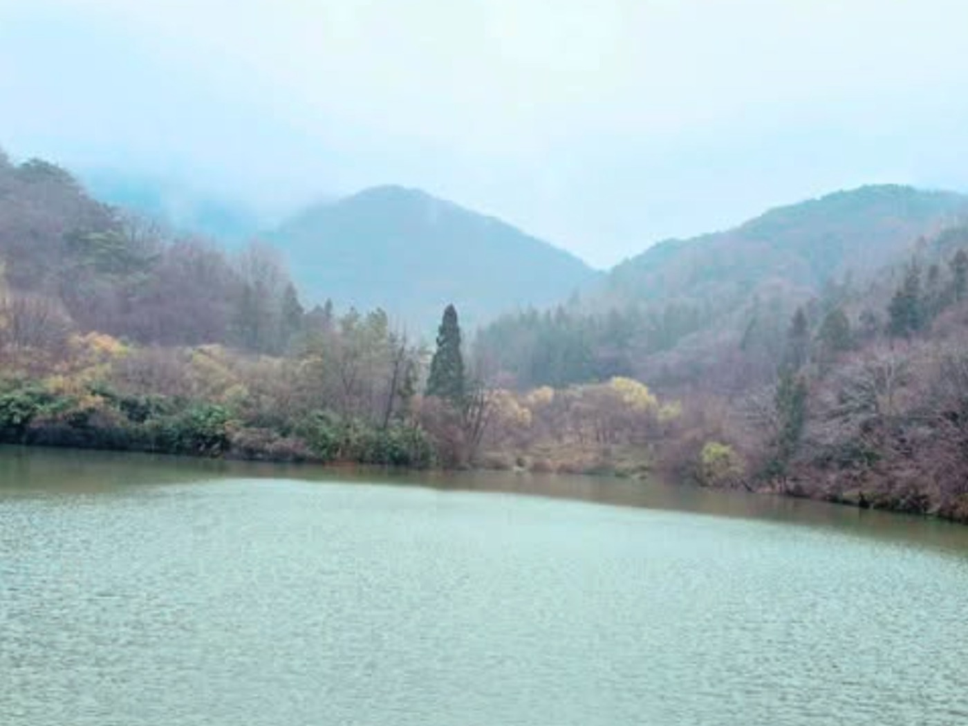 안개 낀 호수